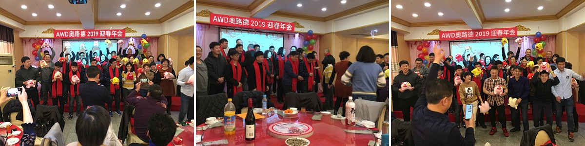 On January-31-2019 Dalian All World I/E Co.,Ltd.(AWD) held its annual company party where employees gathered to celebrate the past year's achievements and strengthen team spirit.